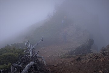 Fototapeta premium 八ヶ岳連峰での登山風景、縦走路