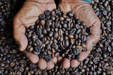 Close-up of a person's hands gently holding a generous handful of dark roasted coffee beans, with...