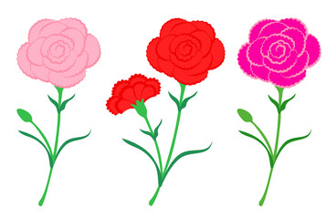 set of carnation flowers bloom vector illustration, collection for Mother's Day