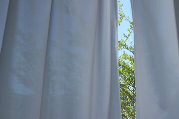 カーテンのすきまから見える窓外の緑