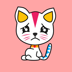 cute cat with a heart