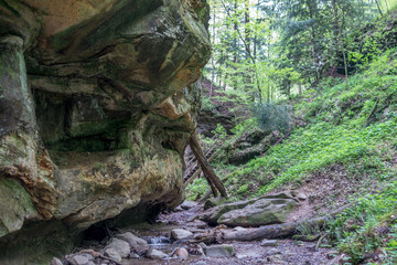 Deep ravines and limestone cliffs in southern Indiana USA