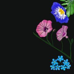 Floral border on black, ipomoea and forget-me-not