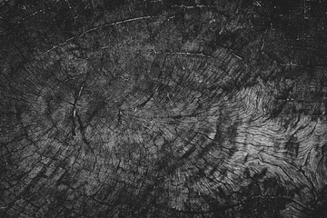 Black wooden texture background.