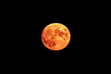 Obraz premium Red full moon in red color also called bloodmoon