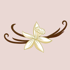 cute funny cartoon illustration of spa industry on background