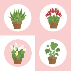 Set of green indoor flat style houseplants and flowers in pots on the shelf  icons on white background.