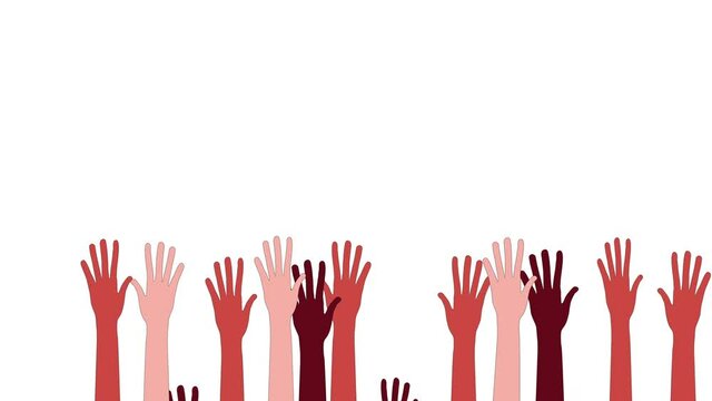 Raising hands - different colourful hands voting or greeting. Concept of unity, diversity, shared purposes, common interests, people together. Animation. Luma matte. Alpha channel.