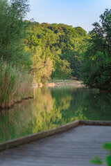 Obraz premium Lac de la Balme de Sillingy, haute Savoie