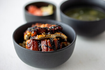 Japanese cuisine of Grilled eel