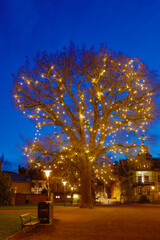 Lund, Sweden A large illuminated tree at night in the cathedral park.