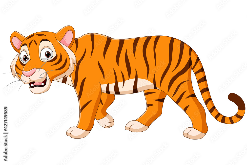 Canvas Prints Cartoon tiger on white background