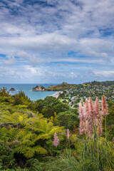 HaHei. New Zealand - Cathedral Cove