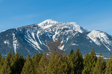 high mountains with snow on top clear blue sky behind trees British Columbia Canada