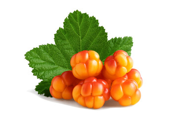 Several cloudberries with a leaf isolated on a white background with clipping path with and without shadow