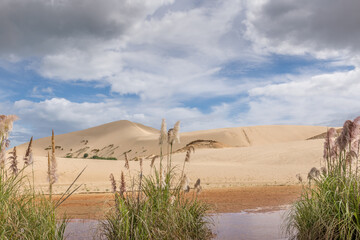 Te Paki Sand Dunes,  Northland , New Zealand © Hans