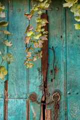 Old green wooden door with metal chain and door handles close-up