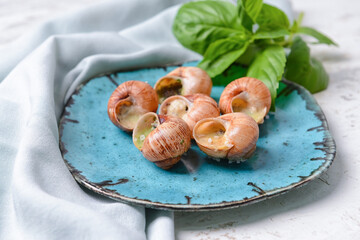 Plate with tasty snails on light background