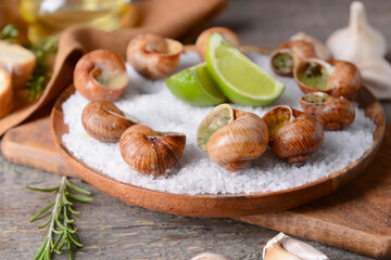 Plate with tasty snails on wooden background