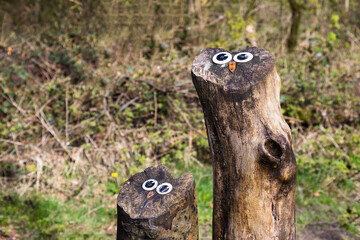 Owl faces on tree stumps