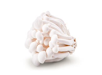 Enokitake mushrooms isolated on a white background