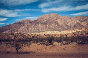 Naklejka premium Jujuy - Norte Argentino