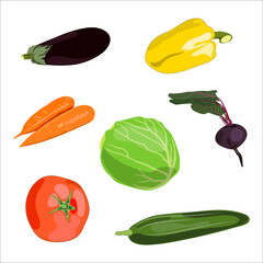 A set of vegetables isolated on a white background. vector