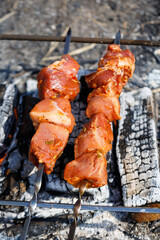 Juicy meat on a skewer. Frying kebabs in the fresh air. Summer afternoon picnic