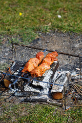 Juicy meat on a skewer. Frying kebabs in the fresh air. Summer afternoon picnic