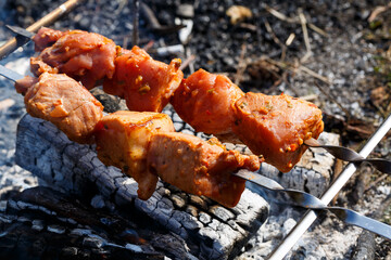 Juicy meat on a skewer. Frying kebabs in the fresh air. Summer afternoon picnic