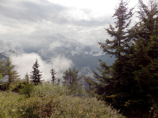 Beautiful view from the top of the mountain to the mountains and the forest in fog in summer
