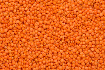 Close-up of red lentil seeds not cooked