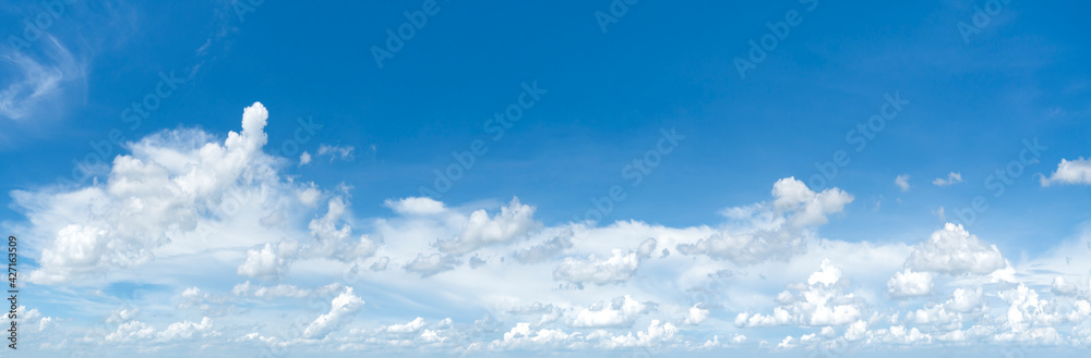 Wall mural panorama image bright sky with fluffy clouds in white with an area of blue sky to add text for adver