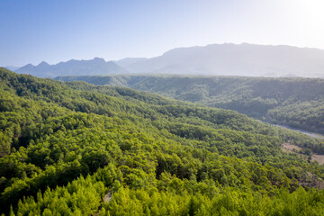 Summer lanscape in Koprulu Canyon National Park. Bright pine forest. Manavgat, Antalya, Turkey.