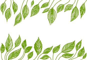 Sfondo bianco cornice botanica floreale foglie verde © Kateryna Kovarzh