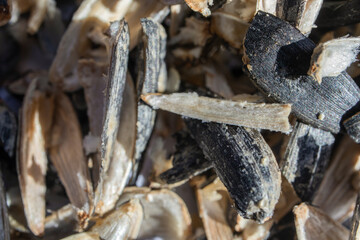 Background of sunflower seed husks