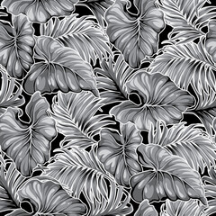Tropical monstera and palm leaves in black and white abstract vector seamless pattern
