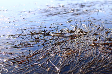 water drops on the water