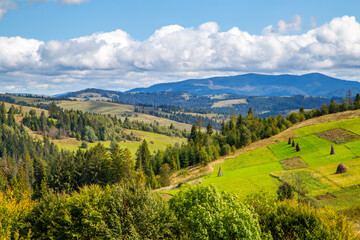 rural landscape of mountains and forests. Carpathians.