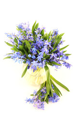 blue spring flower snowdrop bouquet
