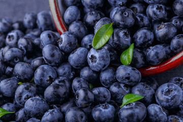 Fresh blueberry background. Blueberry Texture Close Blueberry Antioxidant Organic Superpeed Bowl Concept Healthy Nutrition