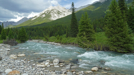 Rocky Mountain landscape with clear water river, spruce trees and rugged mountains, popular wild hiking in Banff National Park, Alberta, Canada