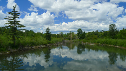 Canada pure landscape with lake, spruce trees, and blue sky, Calgary, Alberta, Canada