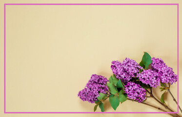 Twigs of purple lilac on  beige paper background. Greeting card with empty place for your text.