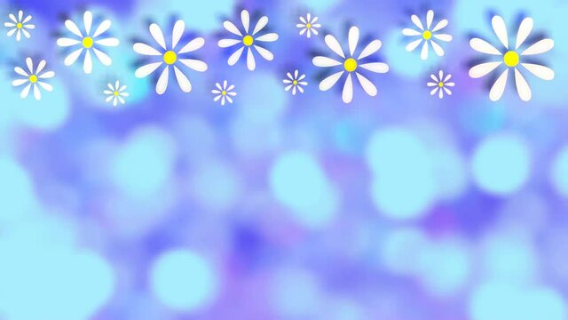 beautiful animation with daisies on a blue background