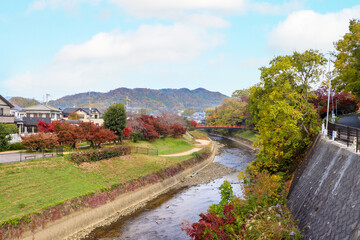 紅葉に彩られた秋の竜田川