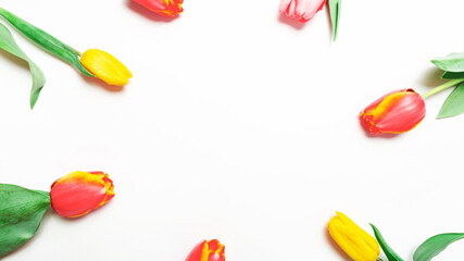 tulips bunch on white background. Empty space for lettering, text, letters, inscription. Beautiful horizontal flat lay postcard template.