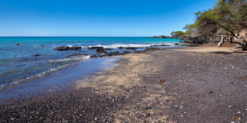Panoramic view of the rocky ocean coast and the trees in Hawaii on a sunny day.