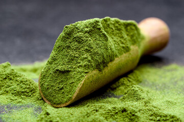 Green tea, matcha. Powdered young barley or wheat grass on wooden scoop. Detox superfood concept.
