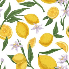 Seamless citric pattern with citrus fruits, flowers and leaves of blooming lemon tree on white repeatable background. Endless texture in retro style. Drawn colored vector illustration for printing